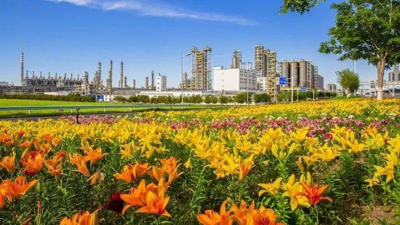 进口化工产品选购：如何规避误区，确保品质