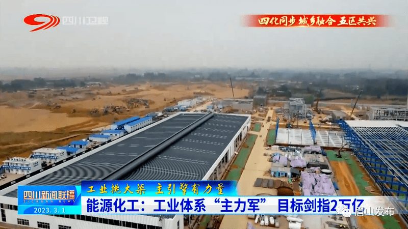 精细化工添加剂：温州批发市场的价格解析与选购要点